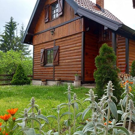 Brvnare Na Brdu Villa Sljivovica  Ngoại thất bức ảnh