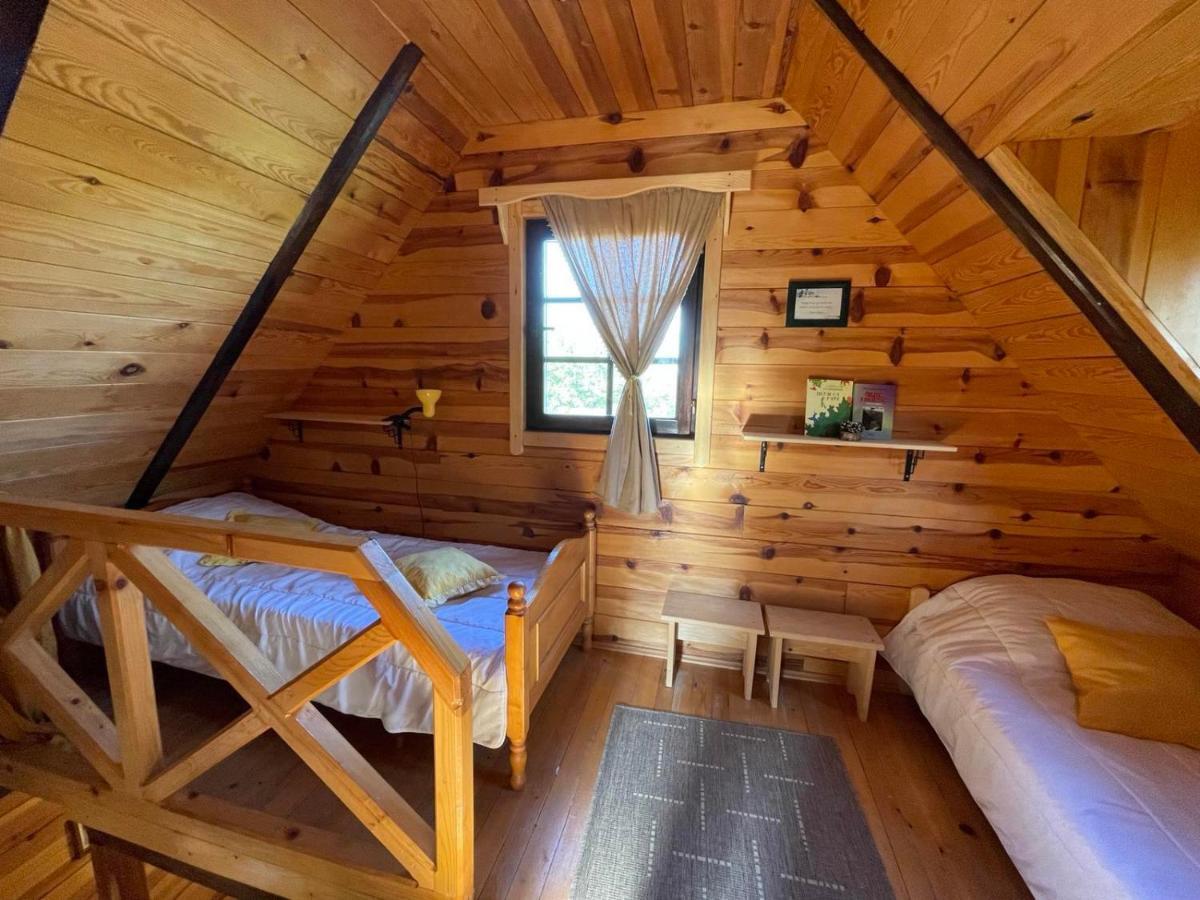 Brvnare Na Brdu Villa Sljivovica  Ngoại thất bức ảnh