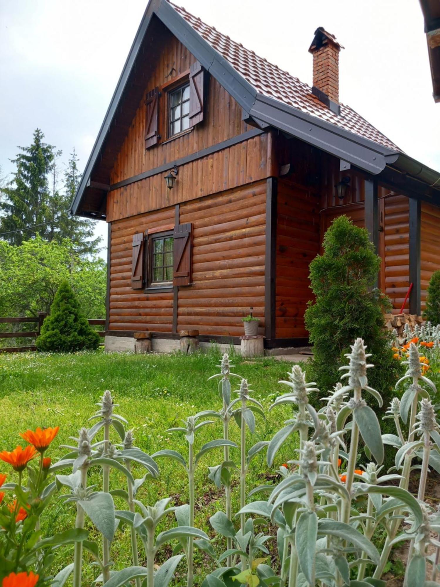 Brvnare Na Brdu Villa Sljivovica  Ngoại thất bức ảnh